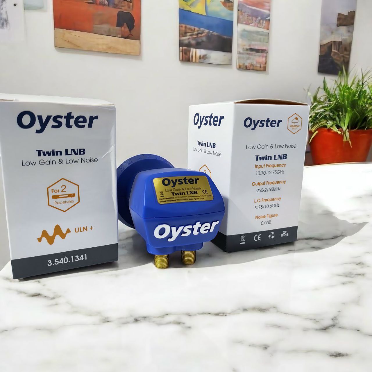 النبی دو فیش 