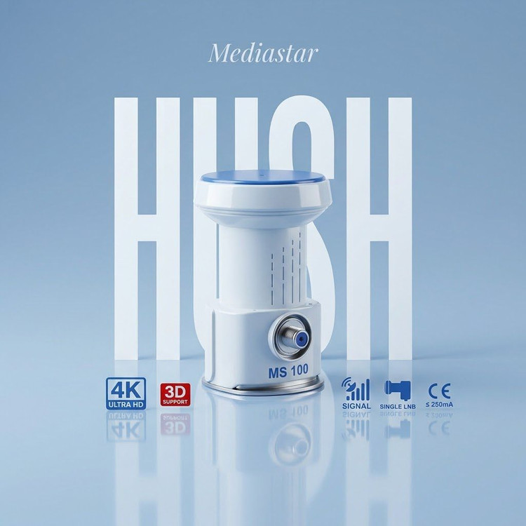 گیرنده دیجیتال مدیا استار مدل MS100 ال ان بی تک سوزن